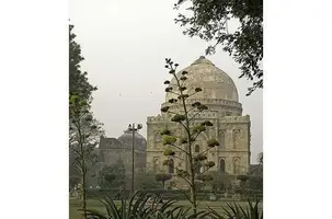 indiano
