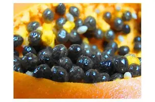 frutta