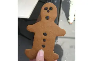 vegano