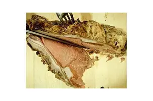 cena