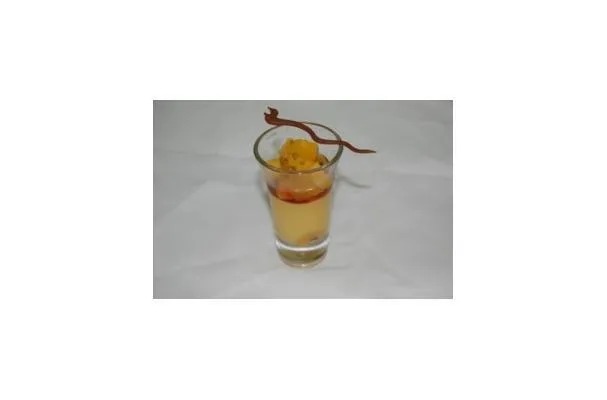 Budino esotico al mango