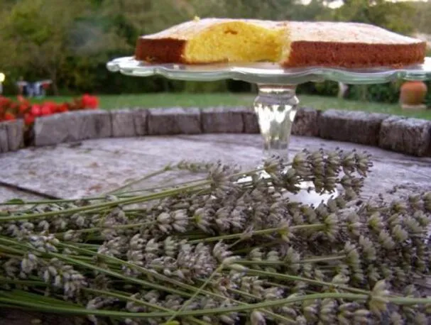 Torta alla Lavanda e Arancia = Amore al Primo Morso